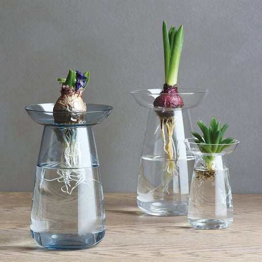 Aqua Culture Vase